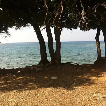 Relax *